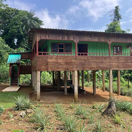 Casas Salomao Hotel Santo António Kültér fotó